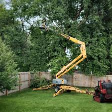 Best Sod Installation  in Claysburg, PA