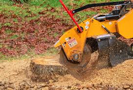 Best Tree Health Inspection  in Claysburg, PA