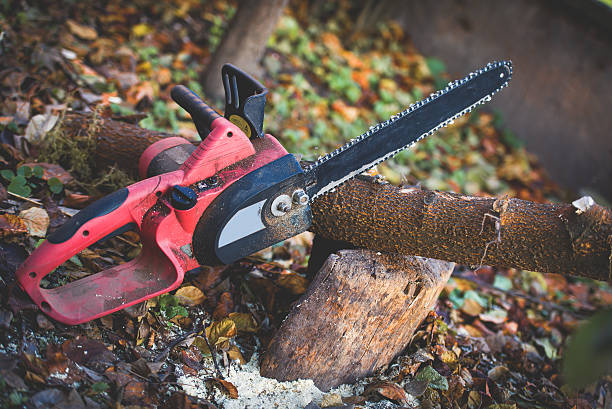 Best Hazardous Tree Removal  in Claysburg, PA